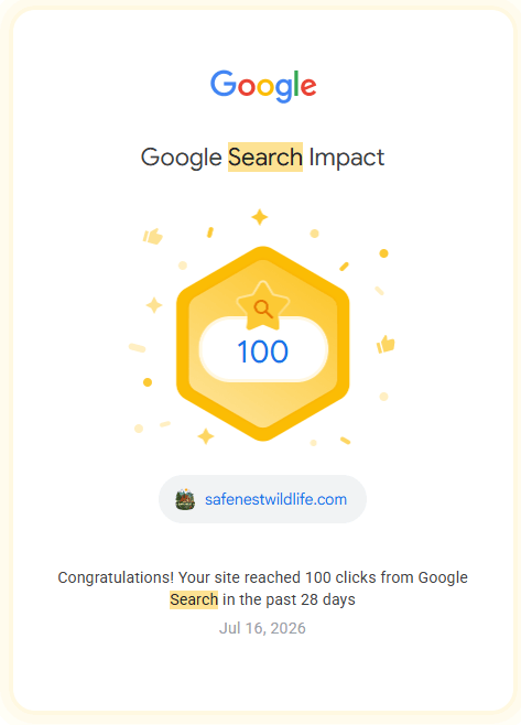 SafeNest Wildlife SEO Milestone - 100 Organic Clicks